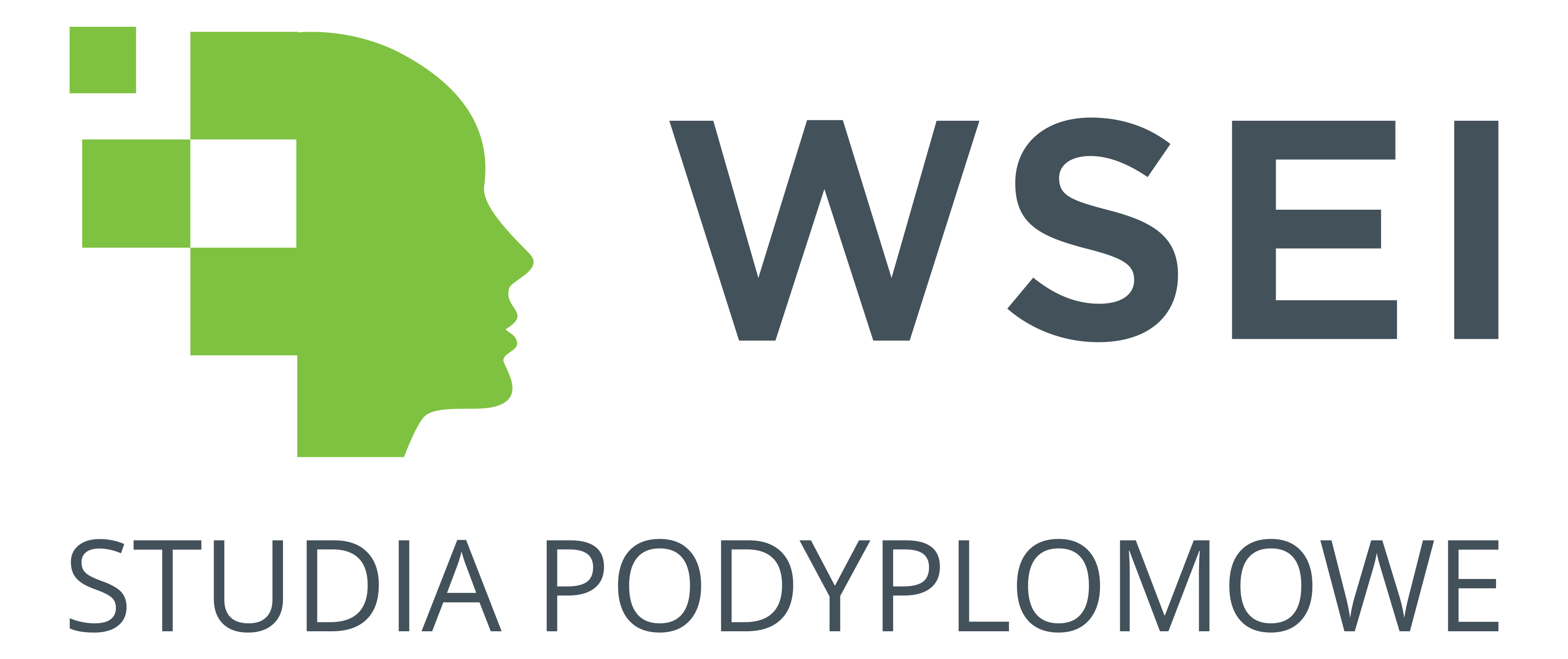 wsei-logo-partner-pozitive-tech